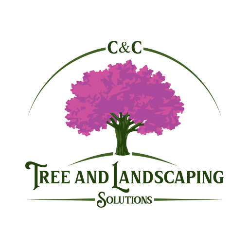 C&C Tree and Landscaping Solutions