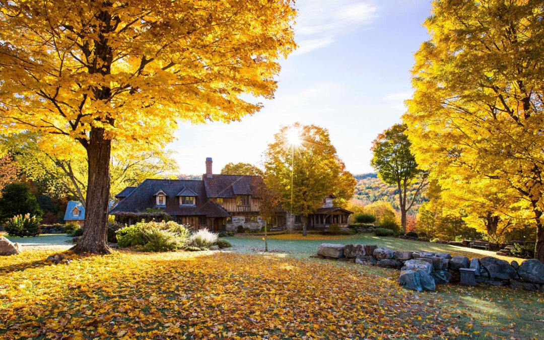 Fall Landscaping Care: Keeping Your Yard Vibrant and Healthy