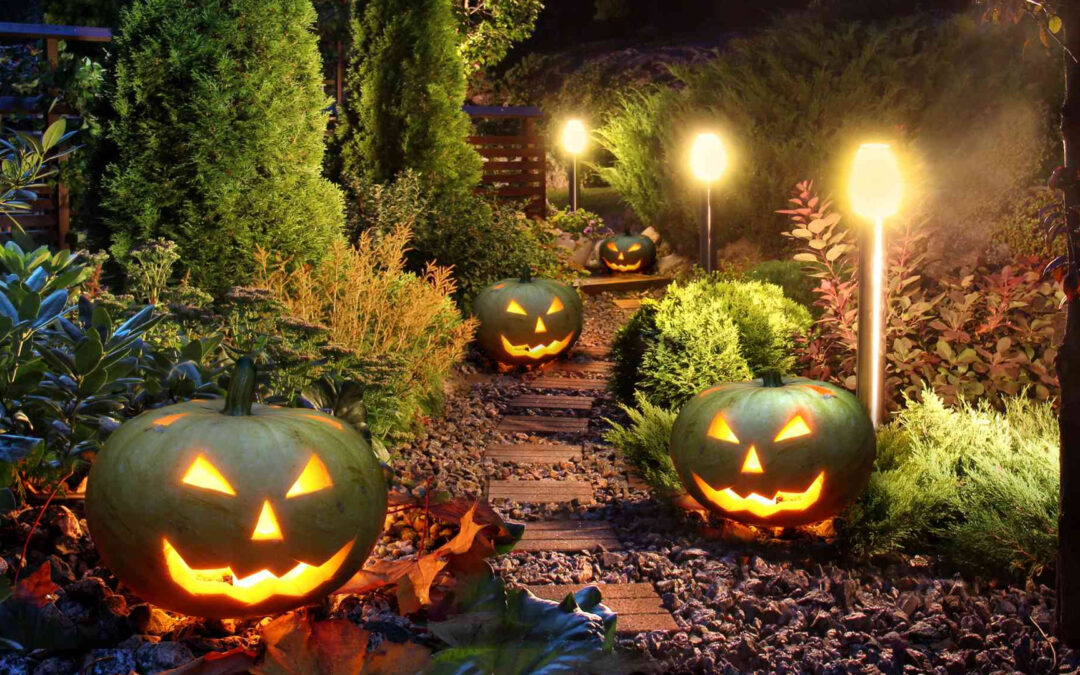 Landscaping for Halloween: Spooktacular Ideas to Transform Your Yard