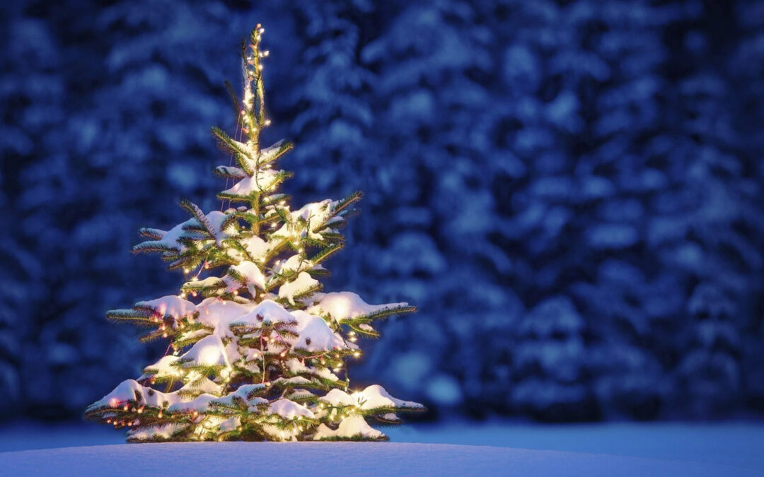 Festive Foliage: Decorating Your Trees for the Holidays